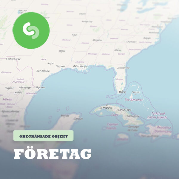 Företags Abonnemang